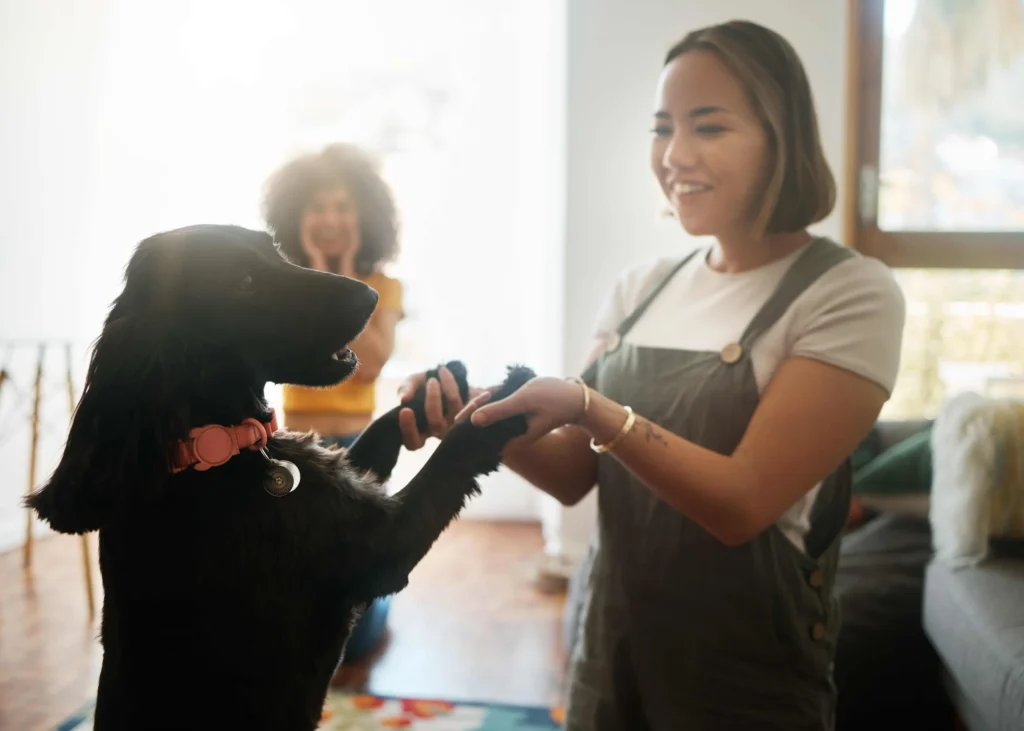 Women is playing with black pet for checking Welness