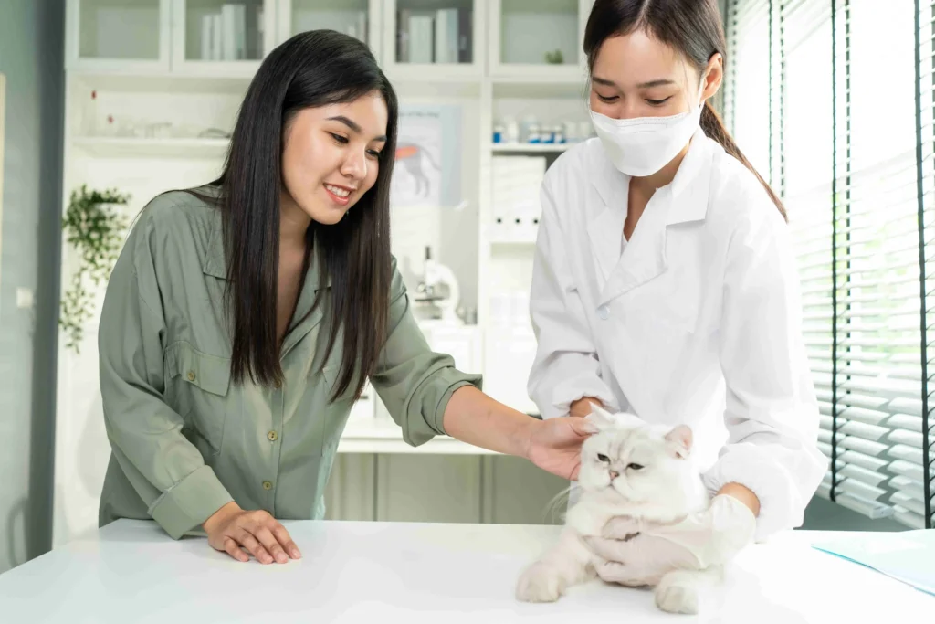 Two womens are checking cat fitness