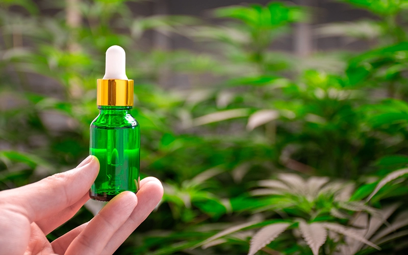Hand of scientist holding a green dropper bottle for cannabis oil against marijuana plant