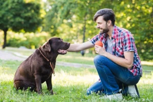 Man playing with his pet in the park