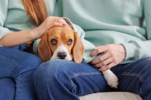 Midsection of woman with dog