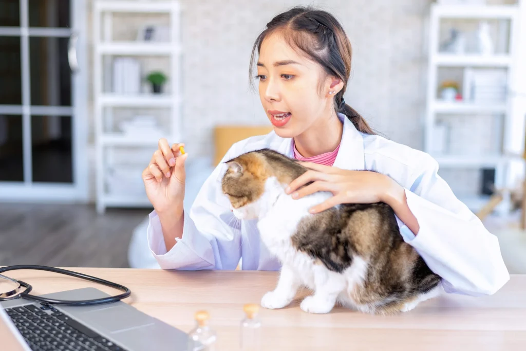 Veterinarian Doctor checking dosage for Cat