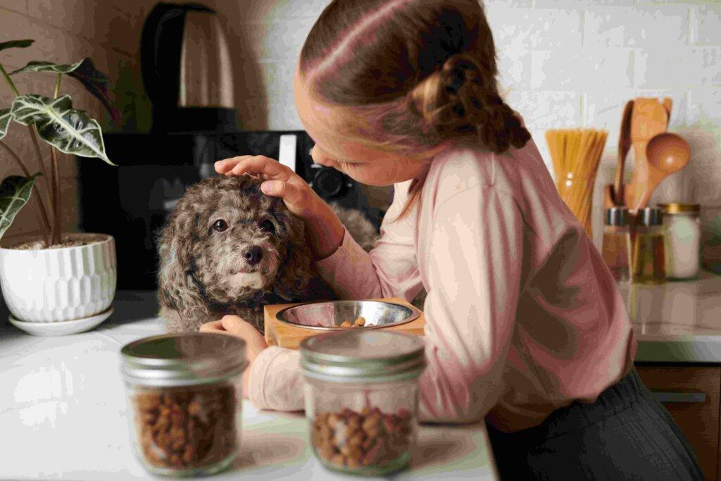 Little owner girl taking care of her dog by giving Nutritional Food
