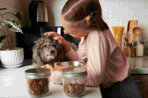 Little owner girl taking care of her dog by giving Nutritional Food