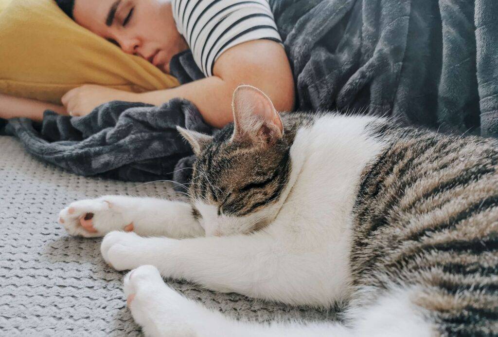 Young woman sleeping on a couch with a sleeping cat