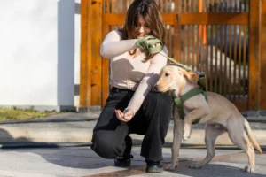 A woman training her dog outdoors, offering treats while holding the leash.