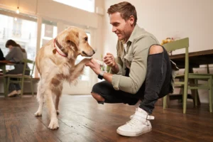 A smiling man in a pet-friendly café teaching his Golden Retriever to give a paw while offering a treat, showing a fun bonding moment.