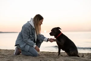 A young woman kneeling on a beach at sunset, gently holding her dog’s paw in a heartwarming gesture, with the calm ocean in the background.
