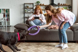 Two women playing with a chocolate Labrador indoors. One woman holds a purple ring toy while the dog pulls on it, engaging in a playful tug-of-war. The other woman sits on the couch, smiling and capturing the moment on her phone.