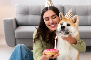 A woman wearing a party hat hugging her Akita dog, also wearing a party hat, while holding a pink-frosted donut with a lit candle. Both appear to be celebrating a special occasion in a cozy home setting, with the woman smiling joyfully.