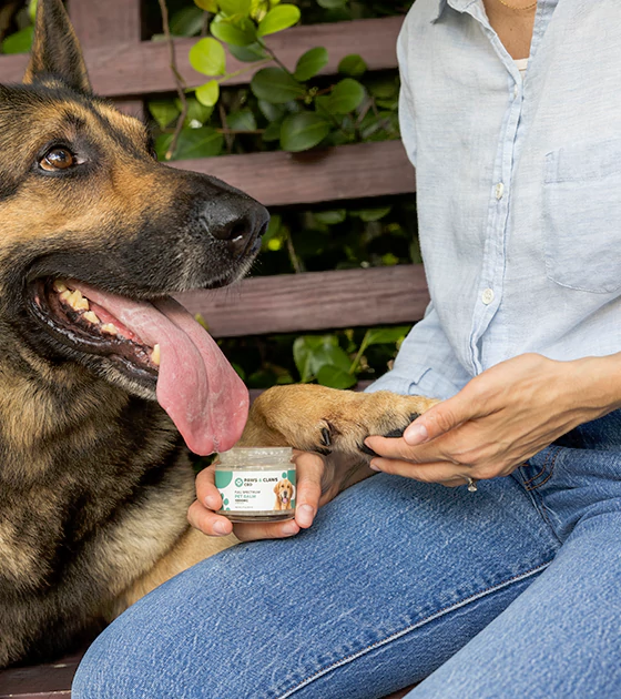 A person in a light blue shirt holds a dog's paw while applying paw balm