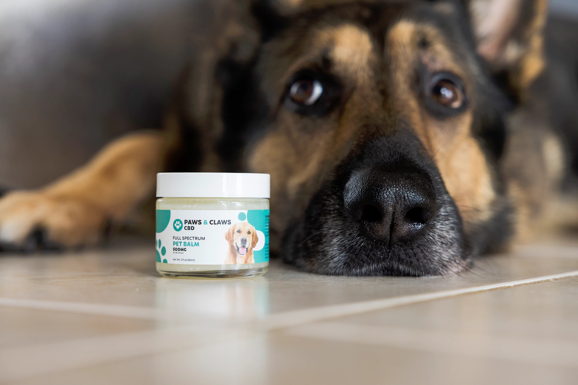 A German Shepherd rests its head on a tiled floor, looking calm. In the foreground, a jar of Paws & Claws CBD Full Spectrum Pet Balm