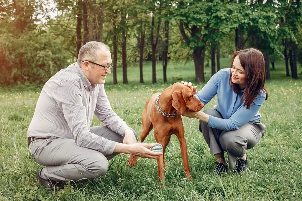 A man and woman kneel on grass petting a brown dog in a wooded park area. The man is holding a green ball.